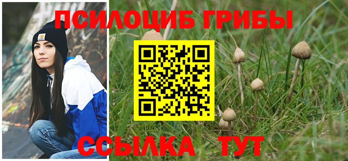 Псилоцибиновые грибы Cubensis  Вход с VPN  где продают наркотики  Ханты-Мансийск 